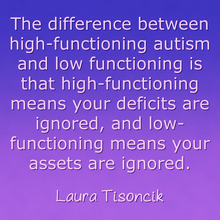 Laura Tisoncik Functioning Labels Quote