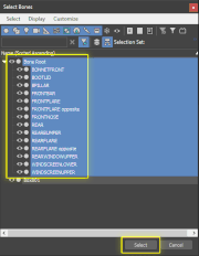 ArmatureNaming 05.gif