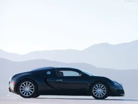 Bugatti-Veyron-2009-1024-24.jpg (47 KB)