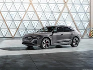 Audi-Q8 e-tron quattro-2024-1024-05.jpg (151 KB)
