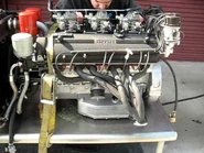 D4C5D384-2B16-4AEF-A09D-67573FCAF263.jpeg (25 KB)