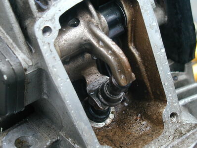 Desmo photo.jpg