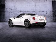 Alfa Romeo-4C Spider Concept-2014-1024-04