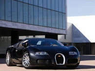 Bugatti-Veyron-2009-1024-11.jpg (97 KB)