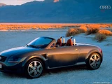 Audi TTS Roadster Concept