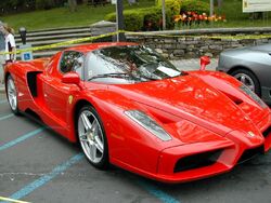 Scarsdale Concours Enzo 2