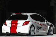 Peugeot-207-rcup-3b