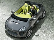 Citroen-c-buggy-top.jpg (68 KB)