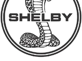 Carroll Shelby International