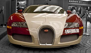 One of the rarest examples: The Bugatti Veyron Pegaso Edition. It is owned by a Russian project developer living in Dubai.