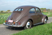 Beetle1