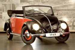 Beetle 6