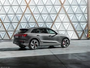 Audi-Q8 e-tron quattro-2024-1024-17.jpg (156 KB)