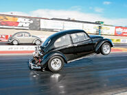 Drag Racing Beetles