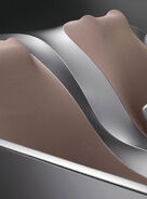 P0045584.jpg (59 KB)