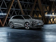 Audi-Q8 e-tron quattro-2024-1024-02.jpg (149 KB)