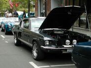 Shelby GT350 at the Scarsdale Concours