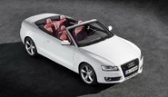 Audi-A5-S5-C-5.jpg (376 KB)