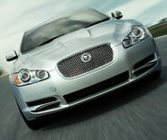 6-jaguar-xf