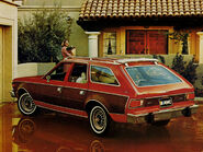 Amc hornet wagon d l