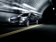 2010-Nissan-Maxima 9.jpg (52 KB)