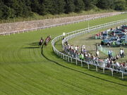 Racecourse In Chester3