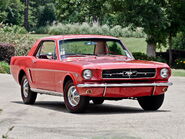 Mustang coupe 13