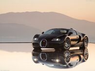 Bugatti-Veyron-2009-1024-08