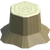Tree Stump