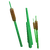 Bulrushes