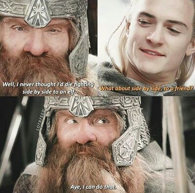 сражался бок о бок. никогда не думал что буду сражаться бок о бок с эльфом. леголас и гимли бок о бок. властелин колец леголас и гимли. бок о бок с товарищем мем властелин колец.