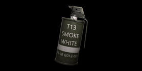 T13 smoke