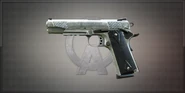 HG1911 - Permanent - 5.000 euros