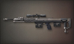 Weapon Sniper DSR-1.jpg