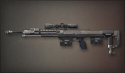 Weapon Sniper DSR-1