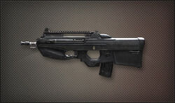 Weapon Assult FN-F2000