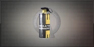 M116A1 Flash Grenade - 1 Day 500 Euros