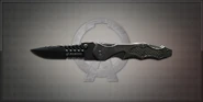 Folding Knife - Permanent - 3.000 euros