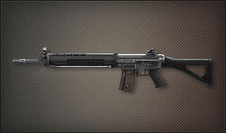 Img weapons ar sg550