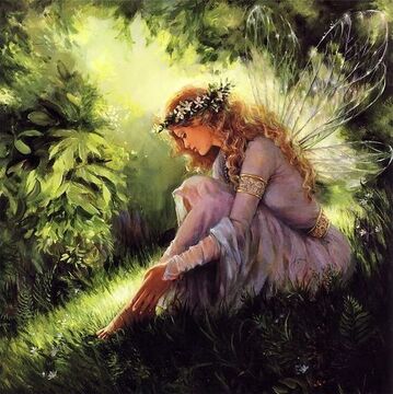 Forest fairy top