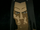 Xin Fu.png