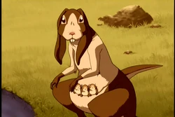 2х15 Крольгуру