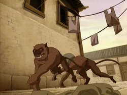 2х15 Свинообезьяны