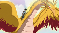 Korra and the dragon bird spirit