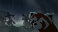 Pabu discovers the Red Lotus