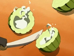 O suco dentro do cacto é visto quando a planta é aberta.