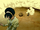 Jing.png