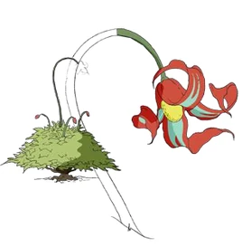 Weißer Drachenbusch