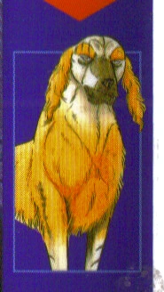 Fanon:Usanda | Avatar Wiki | Fandom