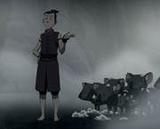 Sokka mit geschorenen Koalaschafen